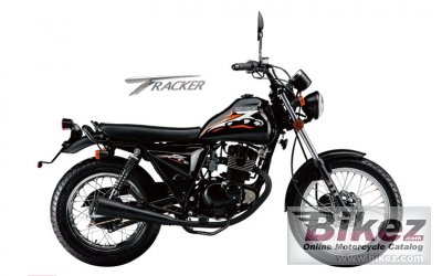 2013 Qingqi Tracker QM125GY-2D photo